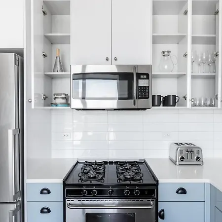 Apartment Ravenswood 1br W Rooftop Bbq Next To Brown Line Chi-401 Chicago