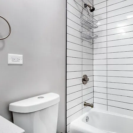Apartment Lakeview 2br W Courtyard Wd 2 Blocks To L Chi-514 Chicago