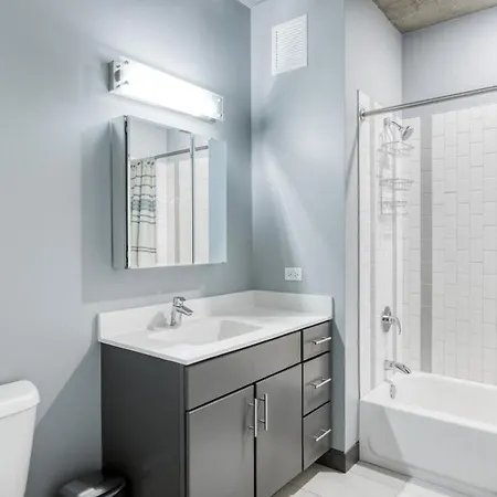 Apartment Loop 2br W Lounge Roof Nr Riverwalk Chi-791
