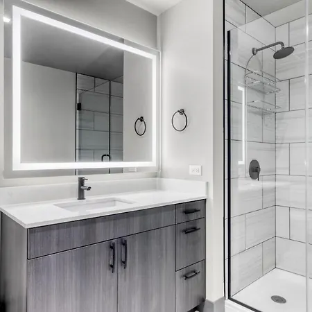 W Loop Studio W Gym Pool 2 Blocks From L Chi-491 Apartment *