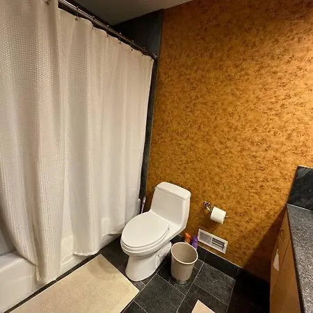 Beautiful Studio Great Location! Chicago