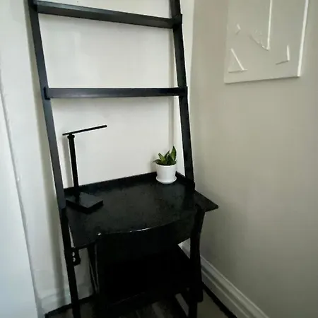 Foxy Flat Apartment Chicago