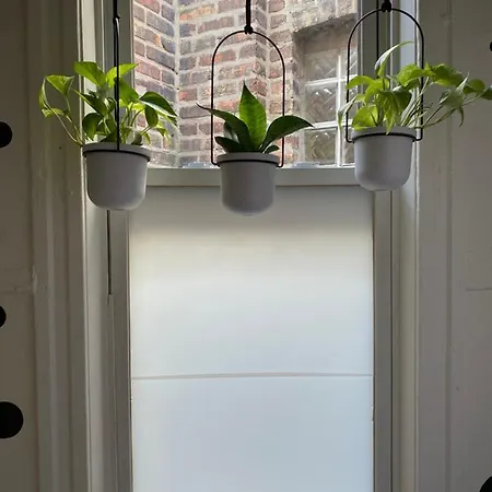 Foxy Flat Apartment *