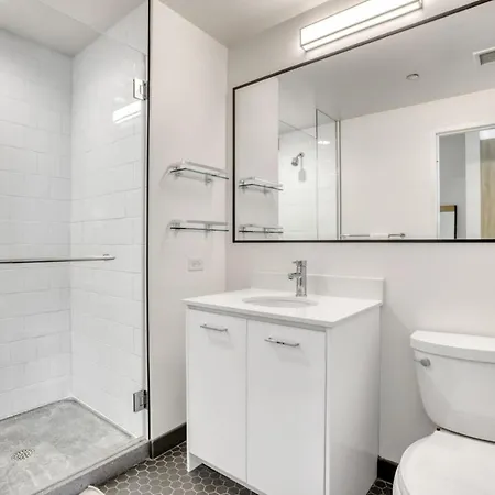 W Loop Studio W Gym Coworking Nr Uic Chi-752 Apartment Chicago