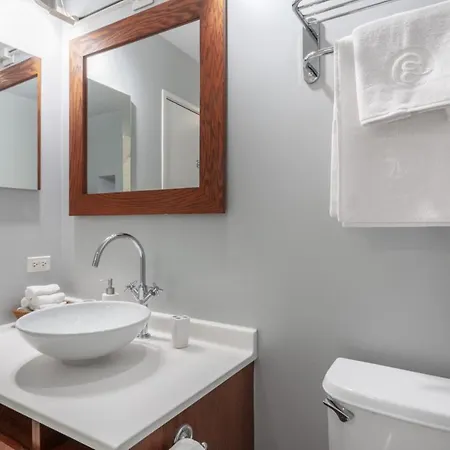 Loop 1br W Gym Nr Theatre District Chi-170 Apartment Chicago