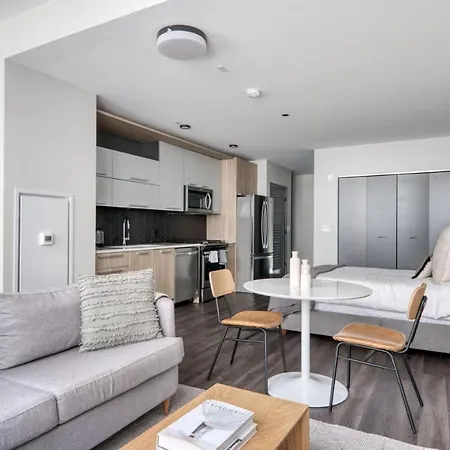 Apartment Loop Studio W Gym Wd Pool Nr Willis Tower Chi-500