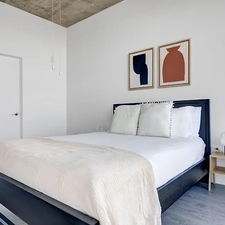 S Loop 1br W Gym Lounge 1 Block To L Chi-527 Apartment