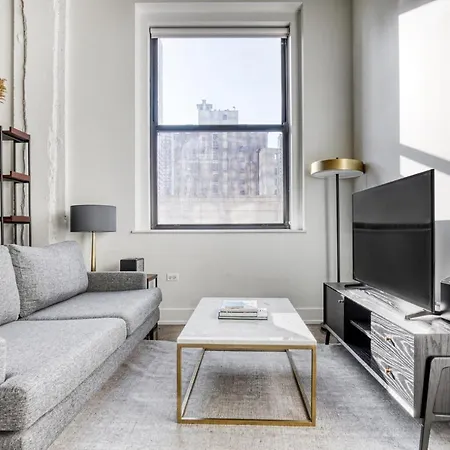 Loop 1br W Roof Gym Lounge Nr Millenium Park Chi-101 Apartment Chicago