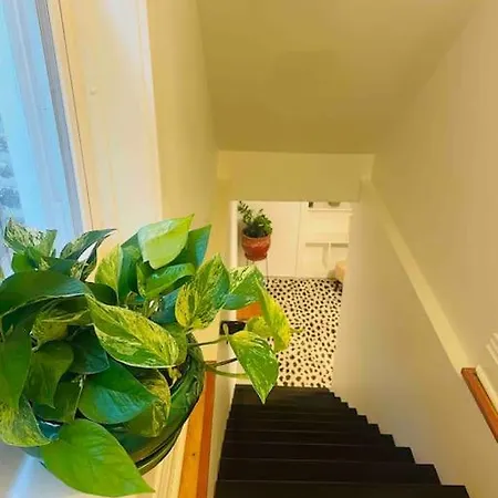 Apartment Private Garden Unit 1br/1ba Chicago