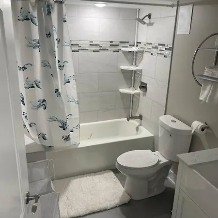 Exec Lux Wth 3 Level,6 Bdrms/3bth & 2 Kitchen Chicago
