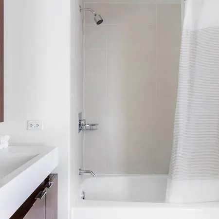 Streeterville 1br W Gym Pool Nr Navy Pier Chi-393 Apartment Chicago