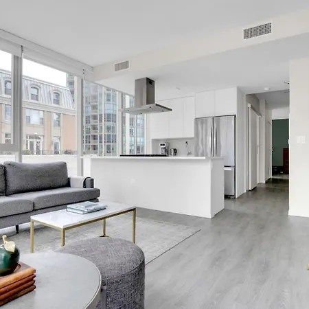 River N 1br W Gym Pool Nr Magnificent Mile Chi-125 Apartment Chicago