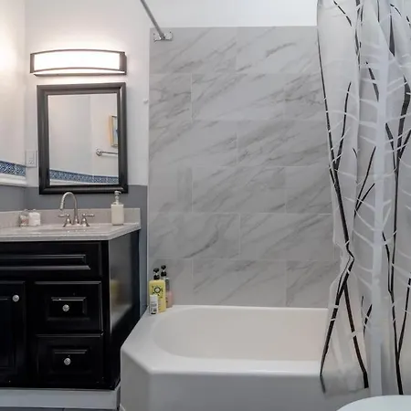 Historical 5 Bedroom That Sleeps 12 Guests With Patio, Fireplace, Grill And Free Parking Chicago