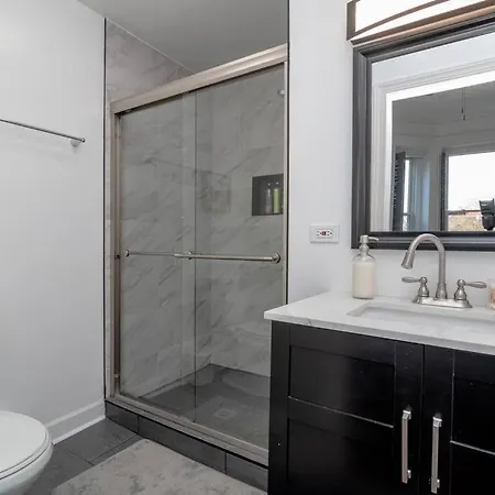 Historical 5 Bedroom That Sleeps 12 Guests With Patio, Fireplace, Grill And Free Parking Villa Chicago