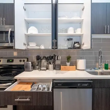 Perfect For Couple South Loop Near Mccormick, Aquarium & Michigan Apartment