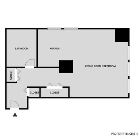 Loop Studio W Pool Gym Nr Financial District Chi-811 Apartment *