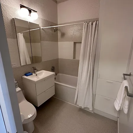 Luxe Urban Retreat Near United Center Holiday home *