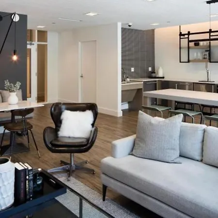S Loop 1br W Gym Lounge 1 Block To L Chi-527 Apartment *