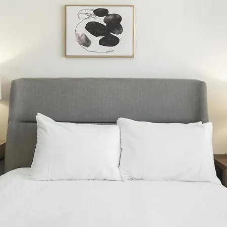 Apartment Landing Modern With Amazing Amenities Chicago