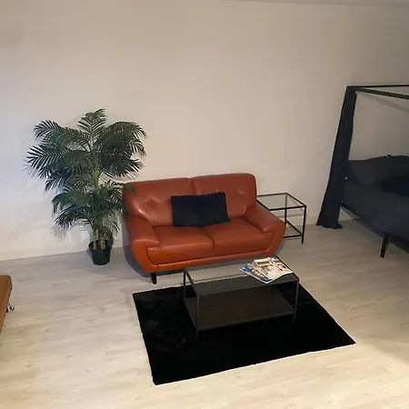 Beautiful Downtown Apartment, With Pool & Balcony Apartment *