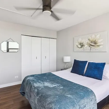 Apartment 2br Vibrant South Loop Chicago