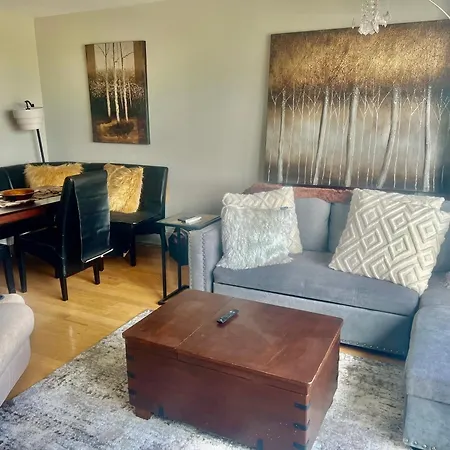 Luxury One Bedroom Located In Chicago's Gold Coast Neighborhood Apartment
