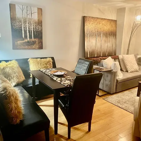Luxury One Bedroom Located In Chicago's Gold Coast Neighborhood Apartment