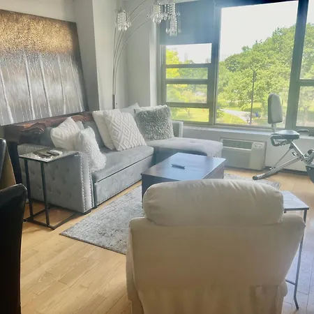 Apartment Luxury One Bedroom Located In Chicago's Gold Coast Neighborhood