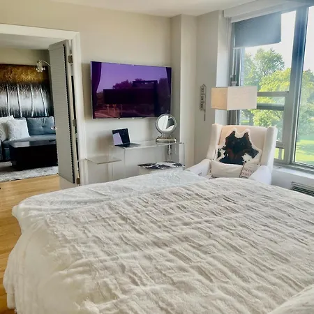 Luxury One Bedroom Located In Chicago's Gold Coast Neighborhood