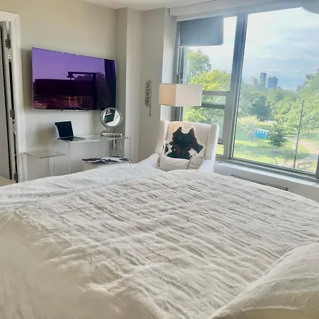 Luxury One Bedroom Located In Chicago's Gold Coast Neighborhood Apartment
