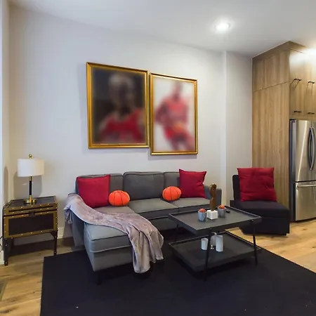 Bulls Tribute 2br In Apartment Chicago