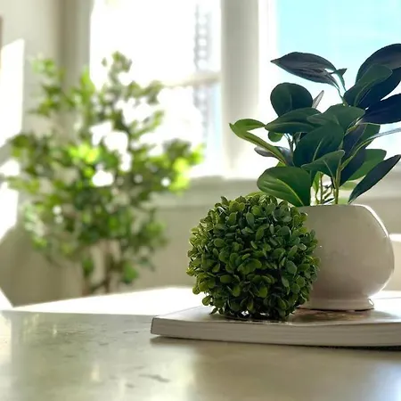 Vibrant 1br Explore Chicago's Hidden Gems