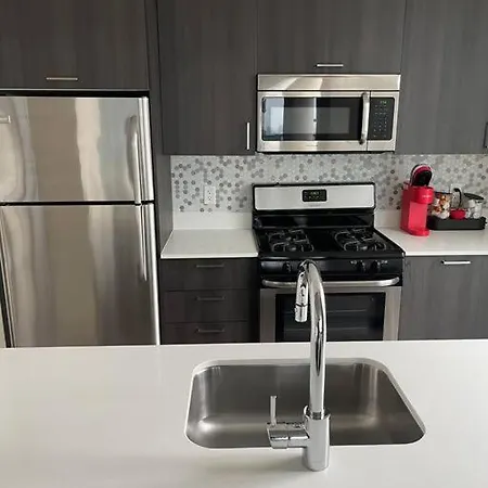 Amazing 2-bedroom In The South Loop Apartment *