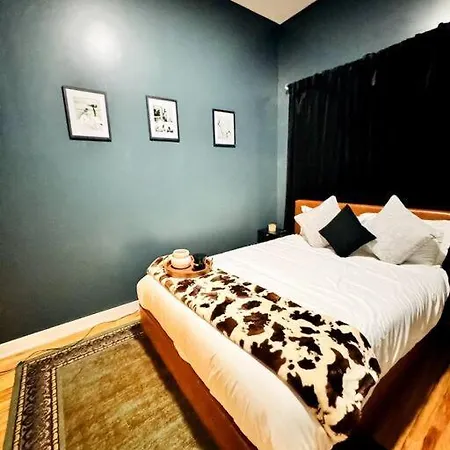 Chic Safari Haven - 2 Bd\2 Ba - Sleeps 8 Chicago