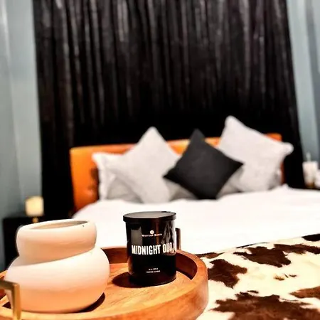 Chic Safari Haven - 2 Bd\2 Ba - Sleeps 8 * Chicago