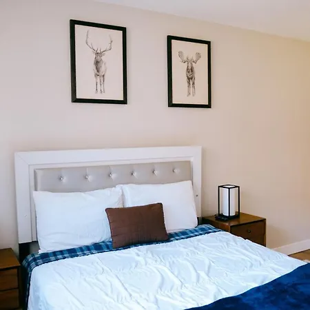 Luxurious Remodeled 1br Apartment Chicago