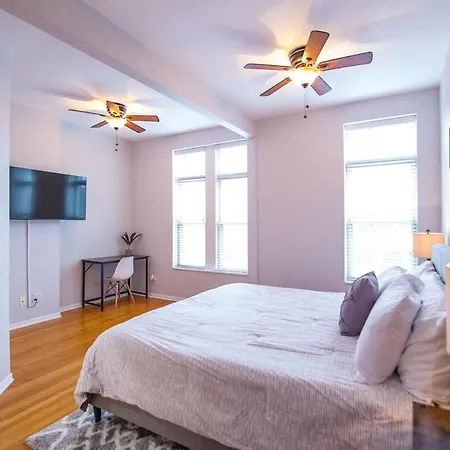 3bd 3ba Bronzeville Beauty Apartment Chicago