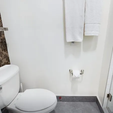Vogue Bucktown 4 Bd 2 Ba Apartment Chicago
