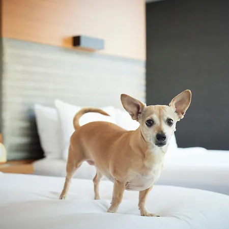 Aloft By Marriott Downtown River North Hotel 3*
