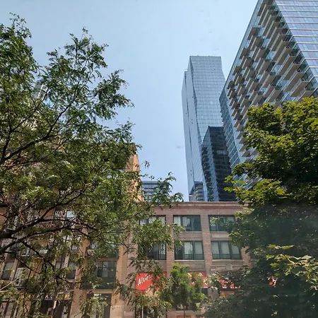 South Loop 4 Bedroom *