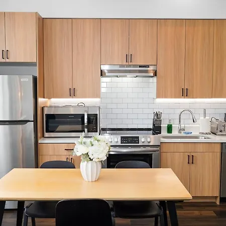 4br South Loop By Soldier Field Area *