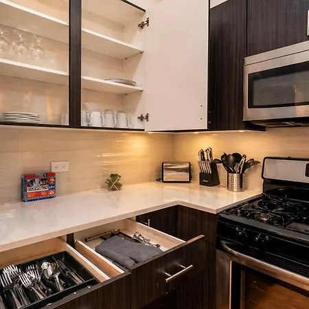 Spacious 3br 420 Friendly Near Mccormick Place, Lakefront And Soldier Field Chicago
