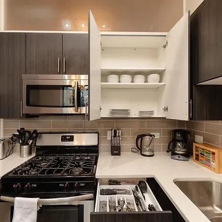 Apartment Fully Equipped 2br In South Loop With Optional Parking And Gym Access Near Mccormick Place & Lakefront Attractions Chicago