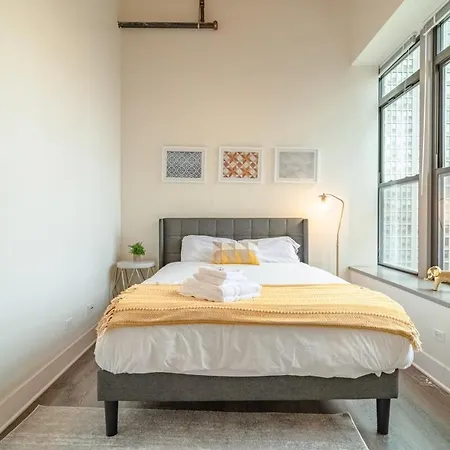 Luxury 2br With Optional Parking And Gym Access Near Mccormick Place And Soldier Field Apartment