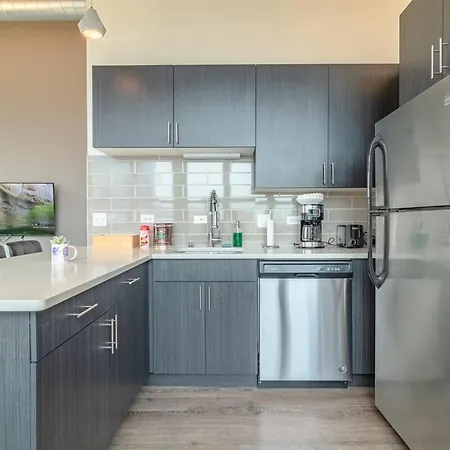 Luxury 2br With Optional Parking And Gym Access Near Mccormick Place And Soldier Field Apartment Chicago