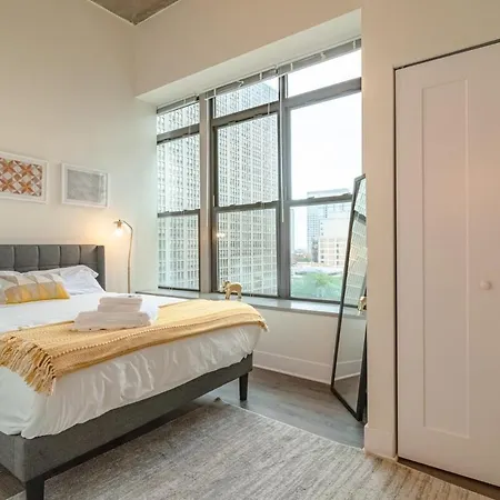 Apartment Luxury 2br With Optional Parking And Gym Access Near Mccormick Place And Soldier Field Chicago