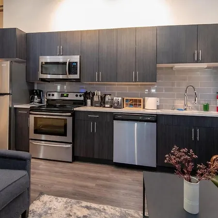 Apartment Mccormick Place Beautiful With Optional Parking And Gym Access Sleeps 4 Near Soldier Field And Downtown
