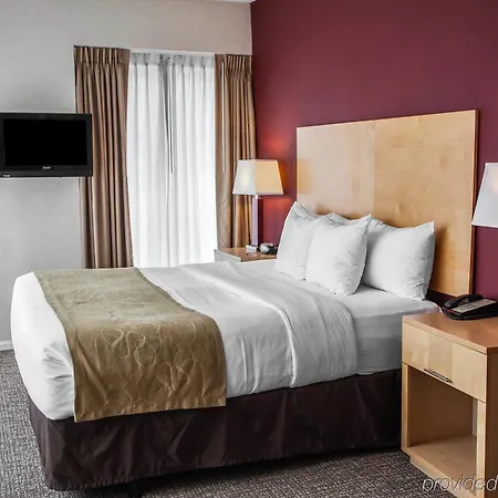 Hotel Comfort Michigan Avenue 3*