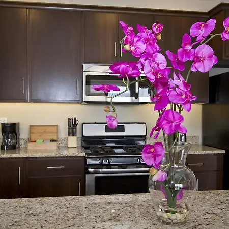 Apartment Two-bedroom On W Randolph Street Apt 6c *