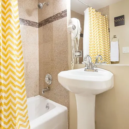 Studio On E Bellevue Place Apt Ga * Chicago